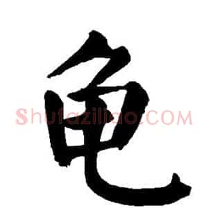 龟