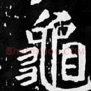 龜