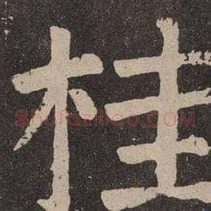桂