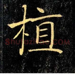 植
