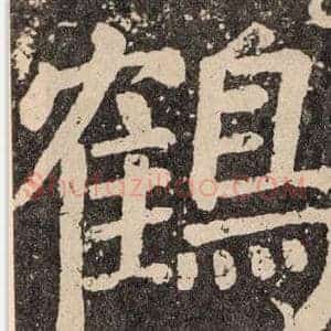 鶴