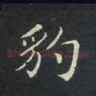 豹