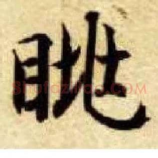 眺