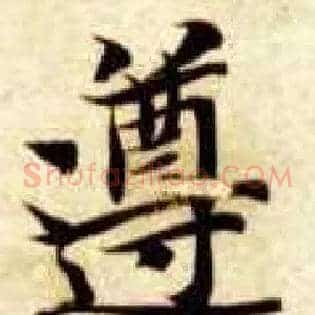 遵