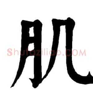肌