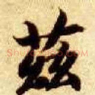 兹