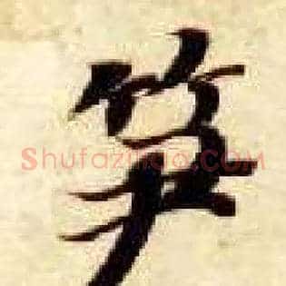 笋