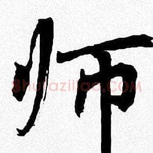 师
