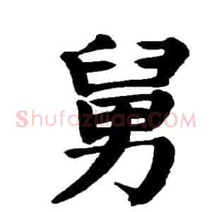 舅