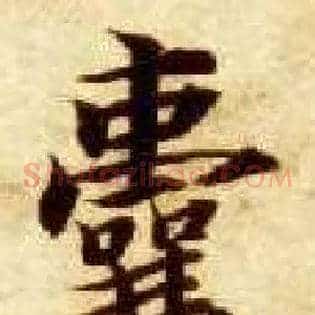 囊