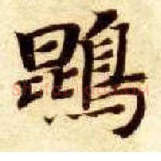鵾
