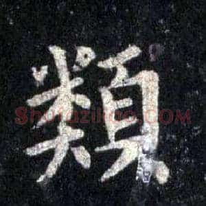 類