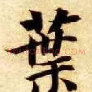 叶