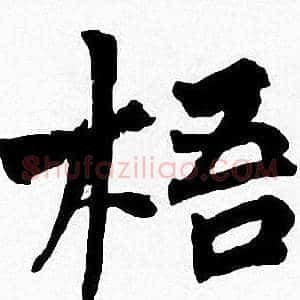 梧