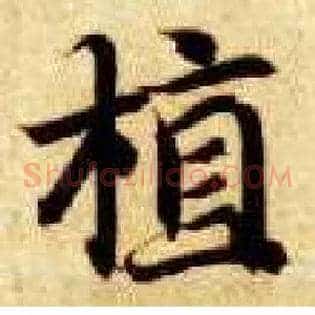 植