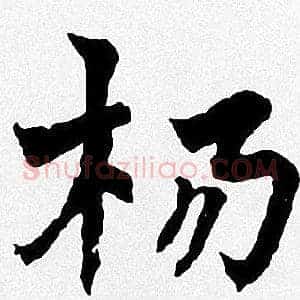 杨
