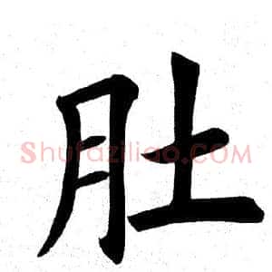 肚