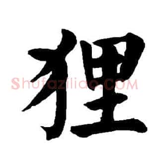 狸