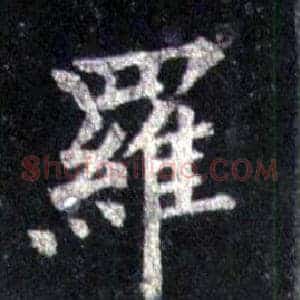 羅