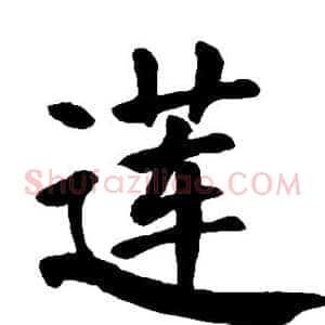 莲