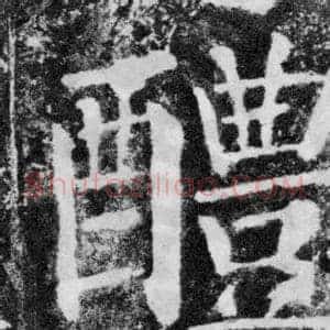 醴