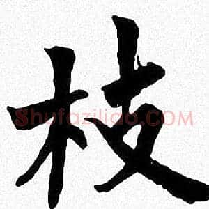 枝