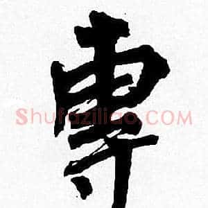 專