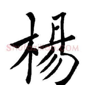 杨