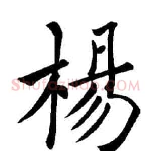 楊