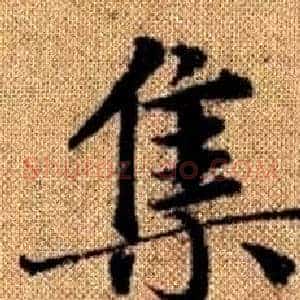 集