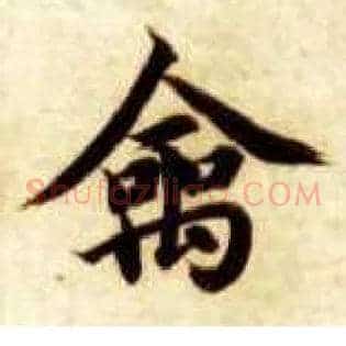 禽