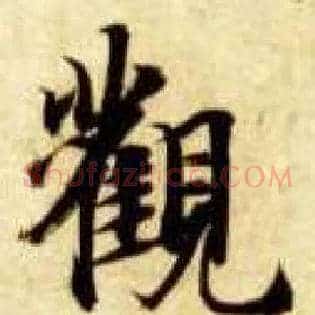 观