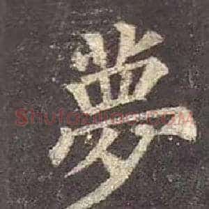 萝