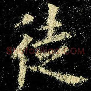 徒