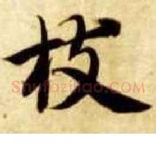 枝