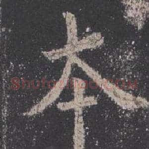 本