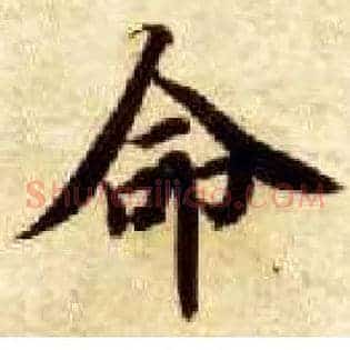 命