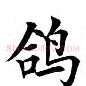 鸽