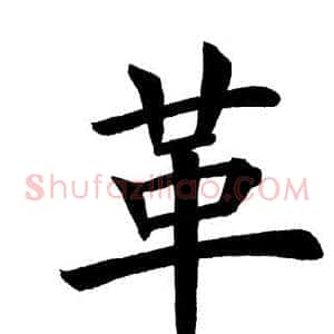 革