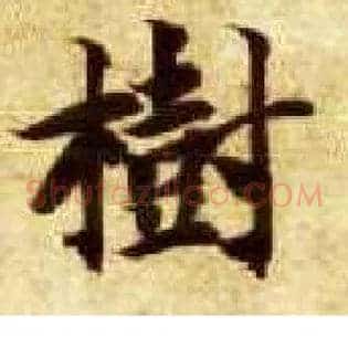 树