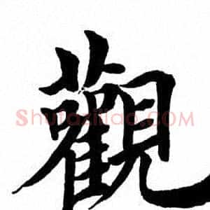 观