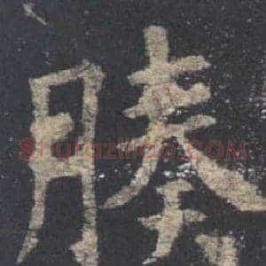 腠