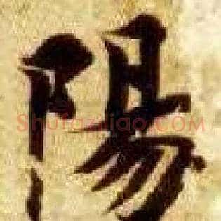 陽