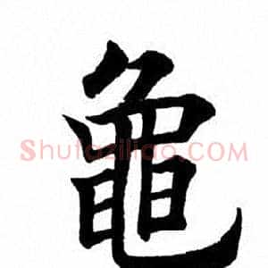 龟