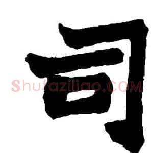 司