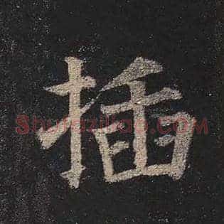 插