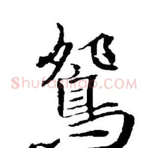 鸳