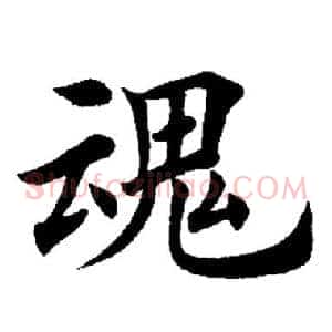 魂