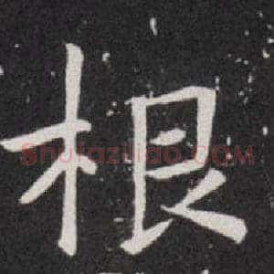 根