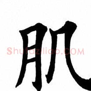 肌